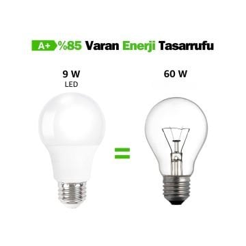 9 Watt Led Ampul