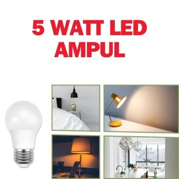 5 Watt Led Ampul