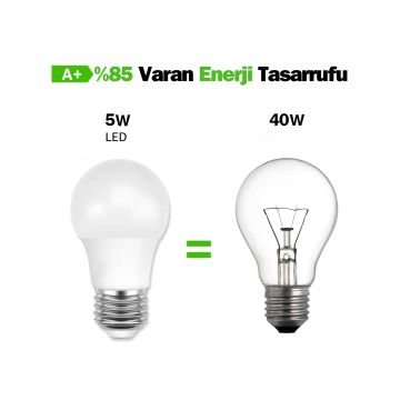 5 Watt Led Ampul